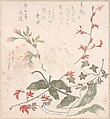 Lily, Violets, Cherry Blossoms, Forsythia, and a Branch of Red Maple, Unidentified artist, Woodblock print (surimono); ink and color on paper, Japan