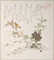 Cherry Blossoms and Yamabuki Flowers, Kubo Shunman Japanese, Part of an album of woodblock prints (surimono); ink and color on paper, Japan