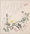 Violets, Primroses and Other Spring Flowers, Kubo Shunman Japanese, Part of an album of woodblock prints (surimono); ink and color on paper, Japan
