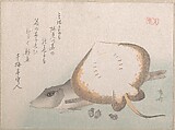 Stingray and Gurnard, Ryūryūkyo Shinsai  Japanese, Part of an album of woodblock prints (surimono); ink and color on paper, Japan