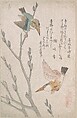 Kingfishers and Pussy-willow, Kubo Shunman  Japanese, Part of an album of woodblock prints (surimono); ink and color on paper, Japan