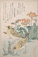 Skylarks and Primroses,” from the Series An Array of Birds (Tori awase), from Spring Rain Surimono Album (Harusame surimono-jō, vol. 3), Kubo Shunman  Japanese, Privately published woodblock prints (surimono) mounted in an album; ink and color on paper, Japan