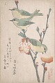 Japanese White-eyes on a Branch of Peach Tree,” from the Series An Array of Birds (Tori awase), from Spring Rain Surimono Album (Harusame surimono-jō, vol. 3), Kubo Shunman  Japanese, Privately published woodblock prints (surimono) mounted in an album; ink and color on paper, Japan