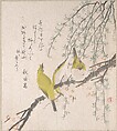 Japanese White-eyes with Plum Tree and Willow, from Spring Rain Surimono Album (Harusame surimono-jō, vol. 3), Kubo Shunman (?) Japanese, Privately published woodblock prints (surimono) mounted in an album; ink and color on paper, Japan