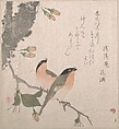Bullfinches and Cherry Blossoms, Kubo Shunman (?) Japanese, Part of an album of woodblock prints (surimono); ink and color on paper, Japan