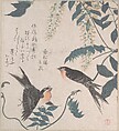 Swallows and Wisteria, Kubo Shunman (?) Japanese, Part of an album of woodblock prints (surimono); ink and color on paper, Japan