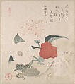 Camellia Flowers, a Netsuke and a Seal, Kubo Shunman  Japanese, Part of an album of woodblock prints (surimono); ink and color on paper, Japan