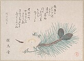 Pines and Cherry Blossoms, Kubo Shunman (?) Japanese, Part of an album of woodblock prints (surimono); ink and color on paper, Japan