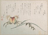 Crab and Rice Plant, Katsushika Hokusai  Japanese, Part of an album of woodblock prints (surimono); ink and color on paper, Japan