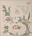 Peonies and Iris, Kubo Shunman Japanese, Part of an album of woodblock prints (surimono); ink and color on paper, Japan