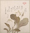 Hotei Flowers, Kubo Shunman Japanese, Part of an album of woodblock prints (surimono); ink and color on paper, Japan