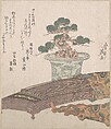 Potted Pine Tree and Koto (Japanese Harp), Keisai Eisen  Japanese, Part of an album of woodblock prints (surimono); ink and color on paper, Japan