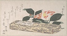 Camellia Flower and Yokan (a sort of bean jelly) Wrapped in Bamboo Skin, Ryūryūkyo Shinsai  Japanese, Part of an album of woodblock prints (surimono); ink and color on paper, Japan