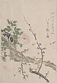 Roses and Plum Blossoms, Kubo Shunman Japanese, Part of an album of woodblock prints (surimono); ink and color on paper, Japan