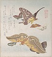 Various Moths and Butterflies, Kubo Shunman Japanese, Part of an album of woodblock prints (surimono); ink and color on paper, Japan