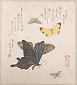 Various Moths and Butterflies, Kubo Shunman Japanese, Part of an album of woodblock prints (surimono); ink and color on paper, Japan