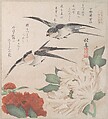 Spring Rain Collection (Harusame shū), vol. 3: Swallows and Peonies, Teisai Hokuba  Japanese, Privately published woodblock prints (surimono) mounted in an album; ink and color on paper, Japan