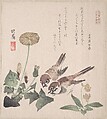 Spring Rain Collection (Harusame shū), vol. 3: Sparrows and Dandelions, Teisai Hokuba  Japanese, Privately published woodblock prints (surimono) mounted in an album; ink and color on paper, Japan
