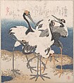 Five Cranes by the Water’s Edge, from the series Three Sheets (Mihira no uchi)

, Totoya Hokkei  Japanese, Part of an album of woodblock prints (surimono); ink and color on paper, Japan
