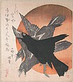 Three Crows against the Rising Sun, from the series Three Sheets (Mihira no uchi)

, Totoya Hokkei  Japanese, Part of an album of woodblock prints (surimono); ink and color on paper, Japan