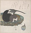 Eggplants in a Basket, Totoya Hokkei  Japanese, Part of an album of woodblock prints (surimono); ink and color on paper, Japan