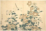 Dragonfly and Bellflower, Katsushika Hokusai Japanese, Woodblock print (surimono); ink and color on paper, Japan
