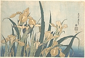 Grasshopper and Iris, Katsushika Hokusai Japanese, Woodblock print; ink and color on paper, Japan