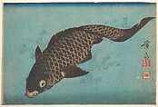 Koi, Keisai Eisen  Japanese, Woodblock print; ink and color on paper, Japan
