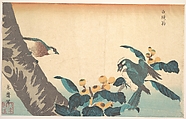 Birds and Flowers, Keisai Eisen  Japanese, Woodblock print; ink and color on paper, Japan