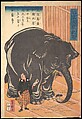 View of the Large Imported Elephant, Taguchi (Utagawa) Yoshimori, Woodblock print; ink and color on paper, Japan