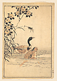 A Pair of Geese with Camellias, Unidentified artist Japanese, Woodblock print; ink and color on paper, Japan
