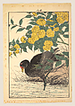 Cormorant and Kerria Rose (Yamabuki), from Keinen kachō gafu (Keinen’s Flower-and-Bird Painting Manual), Imao Keinen 今尾景年  Japanese, Woodblock print; ink and color on paper, Japan