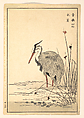 Gray Heron (Aosagi) and Mizu-aoi Plant, Unidentified artist Japanese, Woodblock print; ink and color on paper, Japan