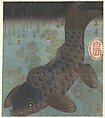 Carp and Pine, Yashima Gakutei Japanese, Woodblock print (surimono); ink and color on paper, Japan