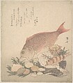 Large and Small Fish Swimming Among Shells and Moss at the Bottom of the Sea, Ryūryūkyo Shinsai  Japanese, Woodblock print (surimono); ink and color on paper, Japan