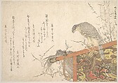 Hawk Tied to Perch, Ryūryūkyo Shinsai  Japanese, Woodblock print (surimono); ink and color on paper, Japan