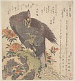 Eagle on a Rock; Flowering Azaleas, Kubo Shunman  Japanese, Woodblock print (surimono); ink and color on paper, Japan