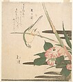 Warbler and Camellia, Totoya Hokkei  Japanese, Woodblock print (surimono); ink and color on paper, Japan
