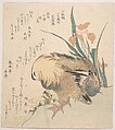 Pair of Mandarin Ducks and Iris Flowers, Kubo Shunman  Japanese, Woodblock print (surimono); ink and color on paper, Japan