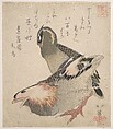 Two Birds, Totoya Hokkei Japanese, Woodblock print (surimono); ink and color on paper, Japan