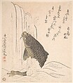 Carp Trying to Swim up a Waterfall, Kurokawa Michita  Japanese, Woodblock print (surimono); ink and color on paper, Japan