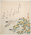 Fishes Swimming with Yellow Flowers, Keisai Eisen  Japanese, Woodblock print (surimono); ink and color on paper, Japan