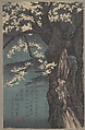 Cherry Tree, Kobayashi Kiyochika  Japanese, Woodblock print; ink and color on paper, Japan