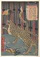 Tiger in a Cage, Ichiryūsai Yoshitoyo Japanese, Woodblock print; ink and color on paper, Japan