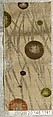 Piece, Silk / Compound weave, Japan