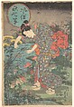 Fashionable Seven Autumn Plants (Fūzoku aki nanakusa), Toyohara Sadatora  Japanese, Woodblock print; ink and color on paper, Japan