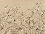 Narcissus, Zhao Mengjian (Chinese, 1199–before 1267), Handscroll; ink on paper, China