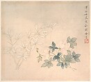 Flower Study, Yun Bing  Chinese, Album leaf; ink and color on paper, China