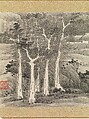 Landscapes and trees, Gong Xian (Chinese, 1619–1689), Album of twelve leaves; ink on paper, China