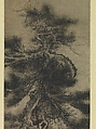 Dragon pine, Wu Boli (Chinese, active late 14th–early 15th century), Hanging scroll; ink on paper, China